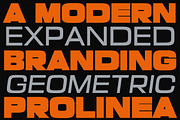 Prolinea Family | Intro 75% OFF, a Sans Serif Font by Lettertype Studio (Thumbnail 12 of 15)