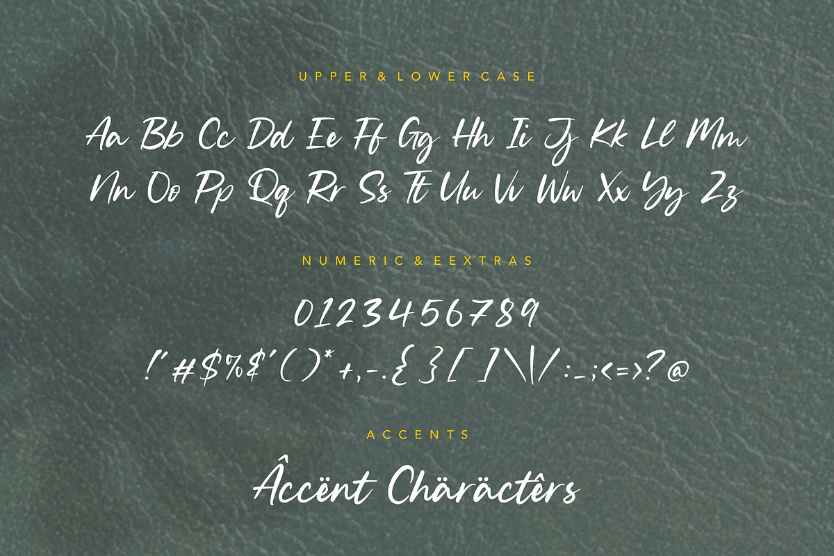 Silent Landfield - Modern Font, a Script Font by Letterative Studio (Photo 6 of 7)