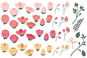 Rose Garden Floral Vectors, an Illustration by Amanda Ilkov (Thumbnail 3 of 3)