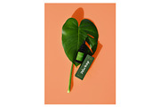 Cosmetic Packaging Bottle Mockups, a Pens & Pencil Mockup by MockupForest (Thumbnail 11 of 11)