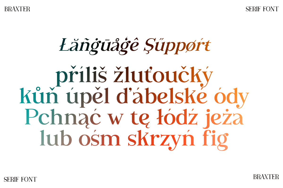 Braxter, a Serif Font by Slex Studio (Photo 9 of 9)