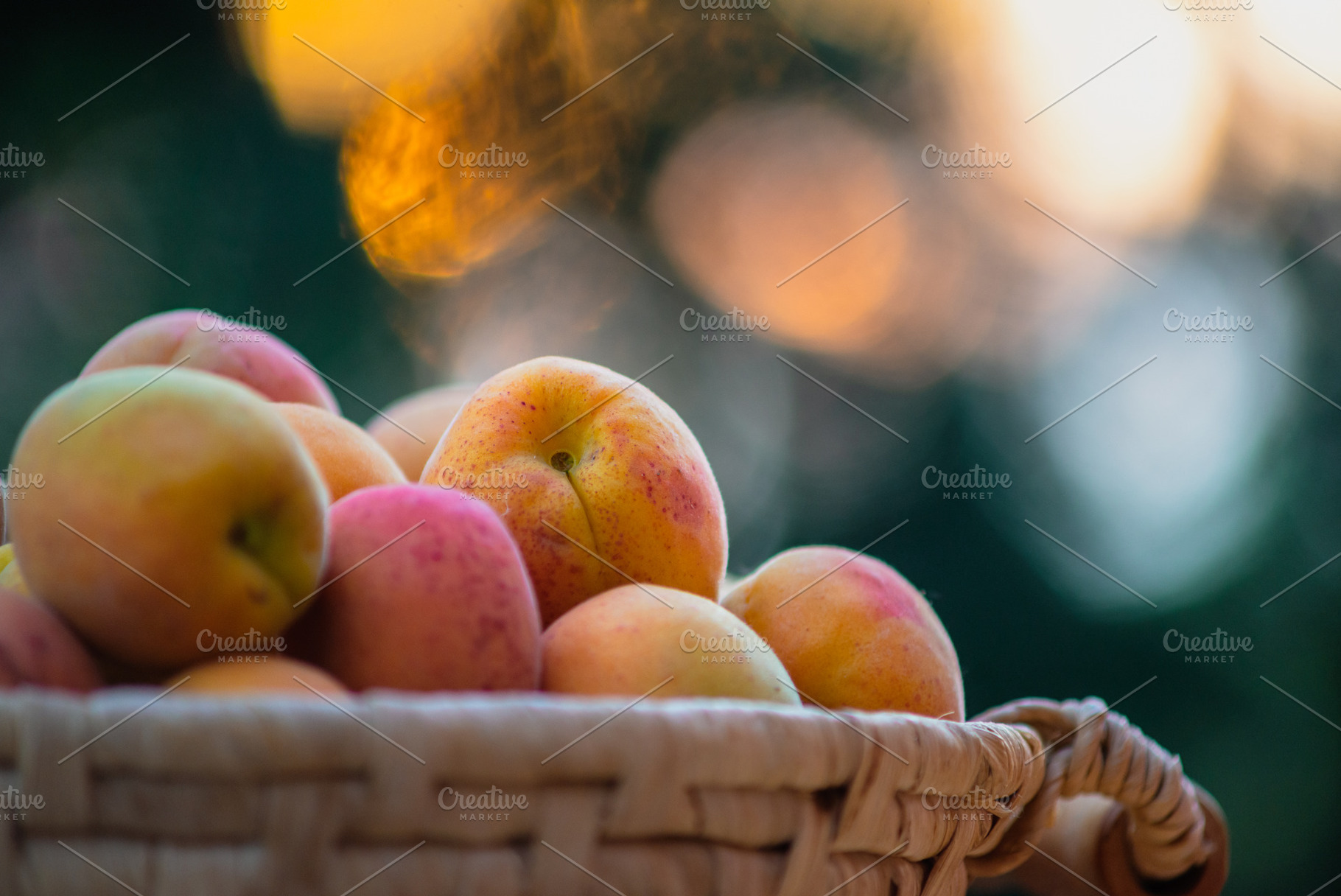 Ripe apricots on the basket containing apricot, peach, and closeup, a Food & Drink Photo by Mark Borbely