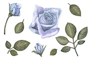 Watercolor blue roses flowers, a Decorative Illustration by Color_Brush (Thumbnail 2 of 5)