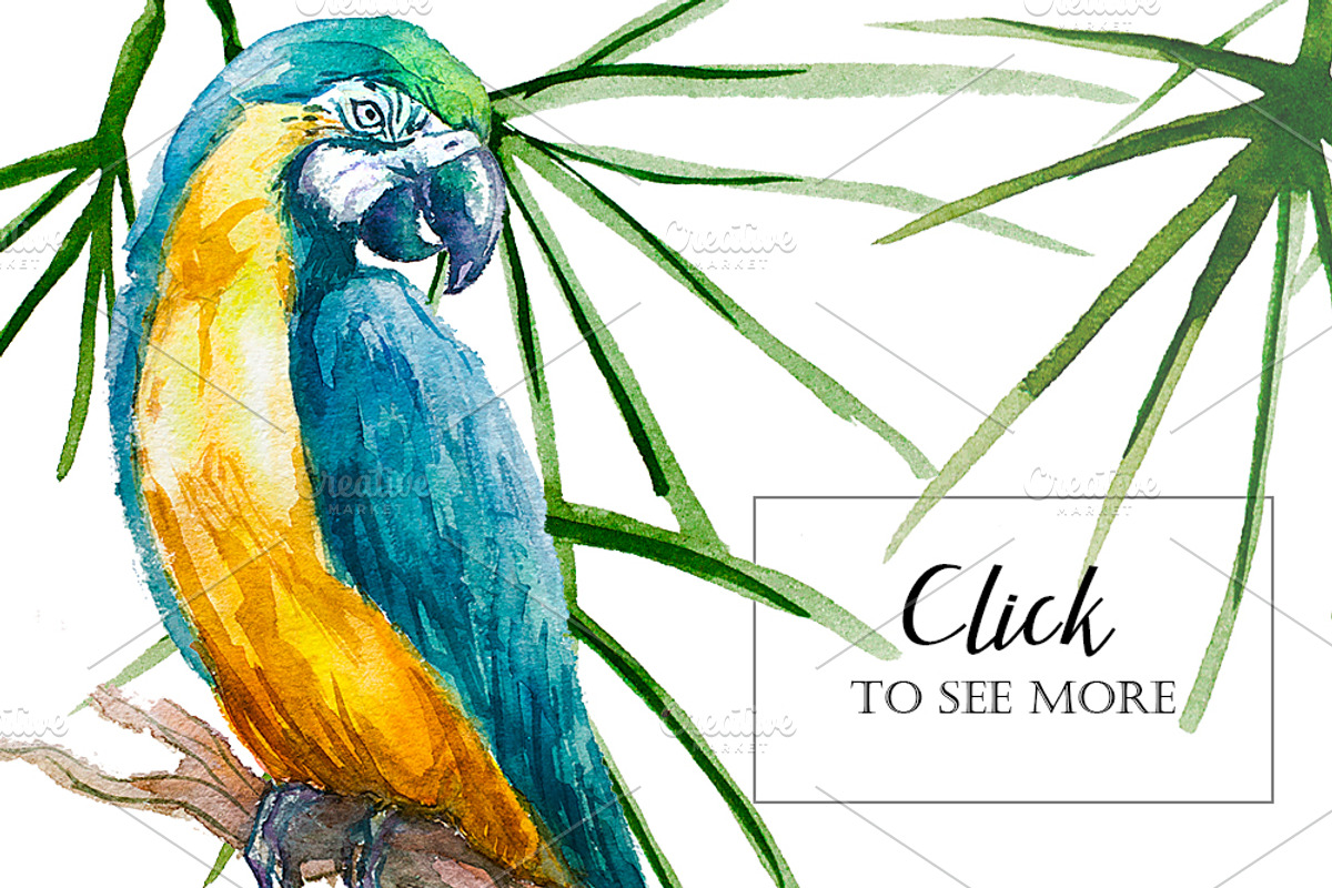 Tropical Paradise Watercolor Set, an Illustration by Anna Faun (Photo 3 of 7)