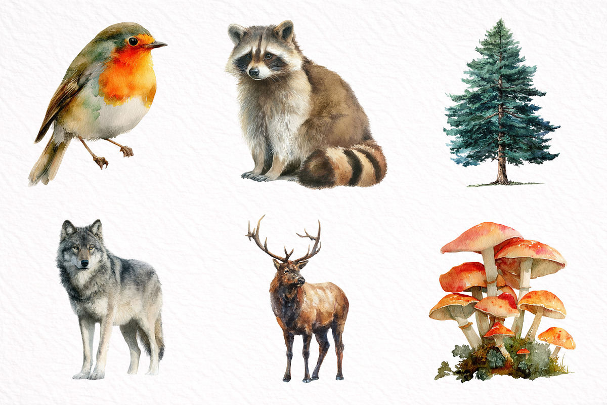 Watercolor Woodland Animals Clipart, an Illustration by DreamArtGraphic (Photo 8 of 8)