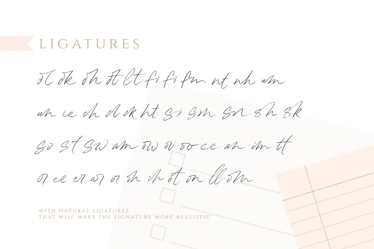 Hollowsky - Signature Script, a Script Font by Letterhend Studio (Photo 8 of 9)