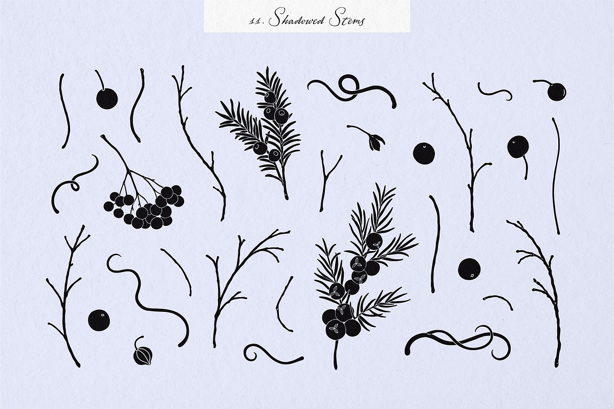Enchanted Wonders 2 in 1 Graphic Set, a Decorative Illustration by rouxsupplyco (Photo 13 of 19)