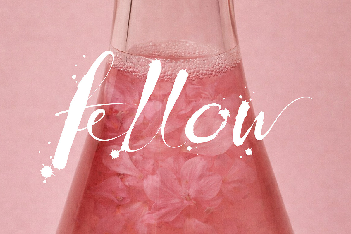 Spilt Milk Brush Font, a Handwritten Font by Tropical Type (Photo 5 of 9)