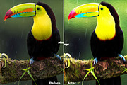Oil Paint - Preset - Actions, an Action Add-On by Modaldesain (Thumbnail 4 of 4)