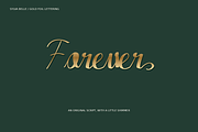 Sylva Belle Modern Calligraphy, a Script Font by Colorsfav (Thumbnail 6 of 10)