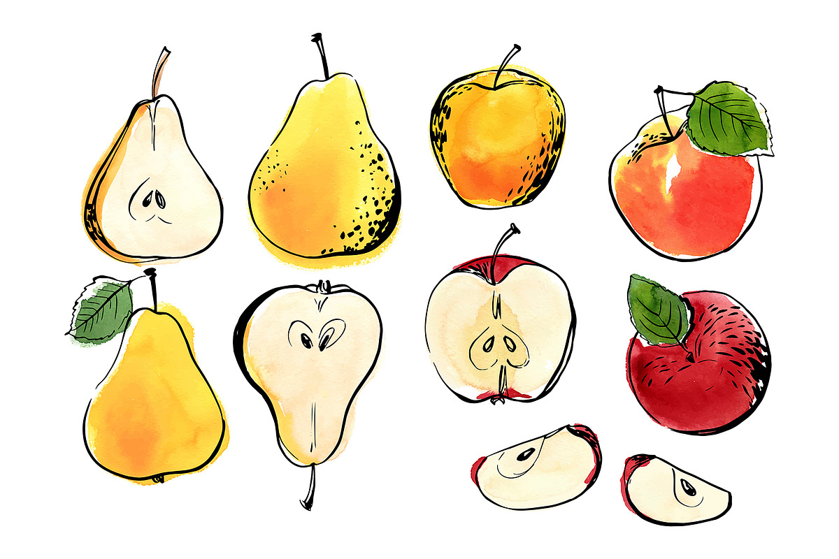 Fruits and berries vector sketch, a Food Illustration by irina.vaneeva (Photo 3 of 11)