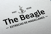 Darwin Pro - Family 30% off, a Sans Serif Font by Los Andes Type (Thumbnail 10 of 12)