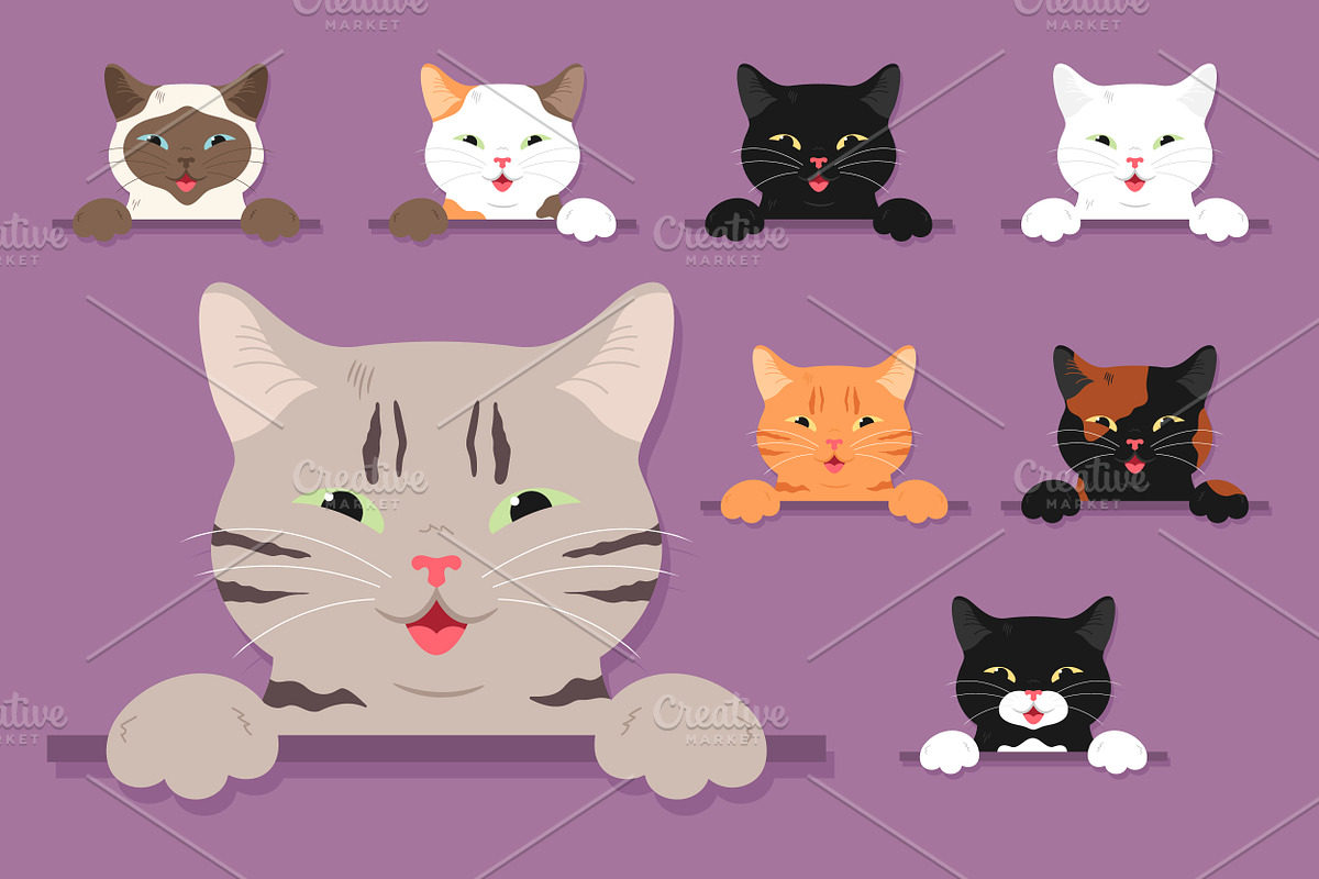 Cat Fur Colors Set, an Animal Illustration by PsychocheArt (Photo 1 of 3)