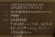 Graflows Modern Font Serif, a Serif Font by Letterena Studios (Thumbnail 13 of 15)
