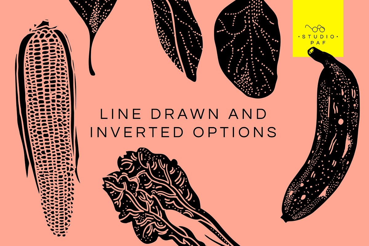 Fruit & Veg - Hand Drawn Vectors, a Food Illustration by STUDIO PAF (Photo 3 of 8)
