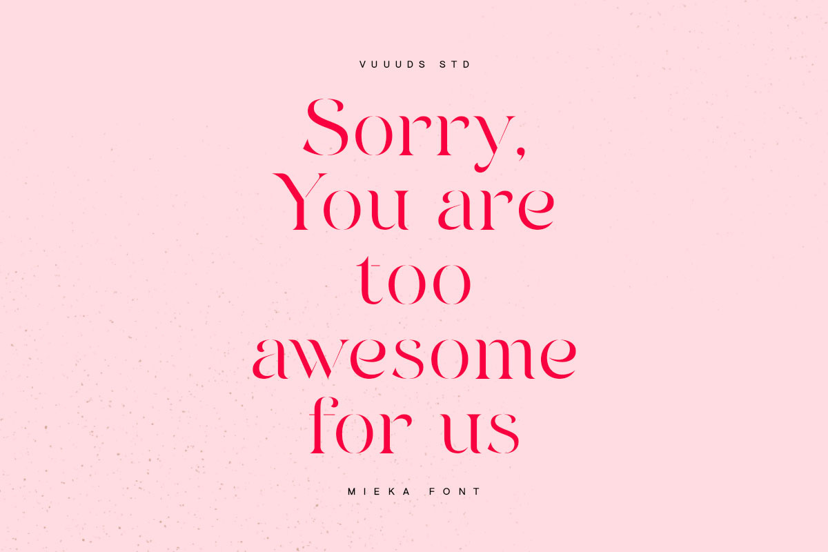 Meika Font, a Serif Font by vuuuds (Photo 6 of 10)