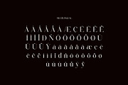 Belvind Modern Elegant Serif Font, a Serif Font by Alfinart (Thumbnail 10 of 11)