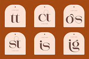 Mestro Serif || Modern Ligature, a Serif Font by ToniStudio (Thumbnail 8 of 10)
