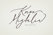 Knox Migdalia - modern calligraphy, a Script Font by Fontcastle (Thumbnail 1 of 14)