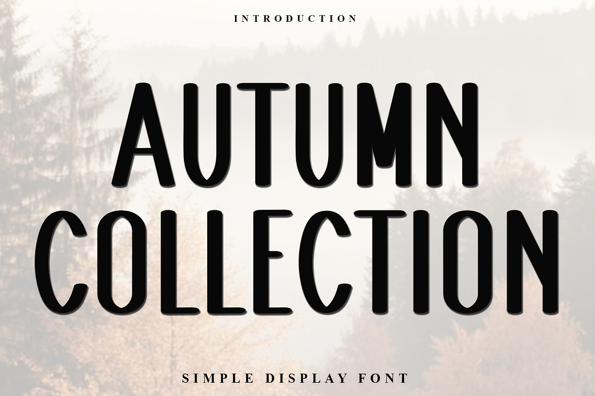Autumn Collection, a Script Font by InermediaSTUDIO (Photo 1 of 7)