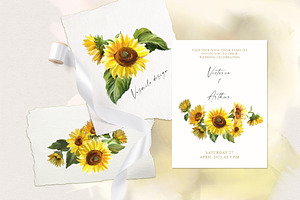 Sunflowers Clipart Collection