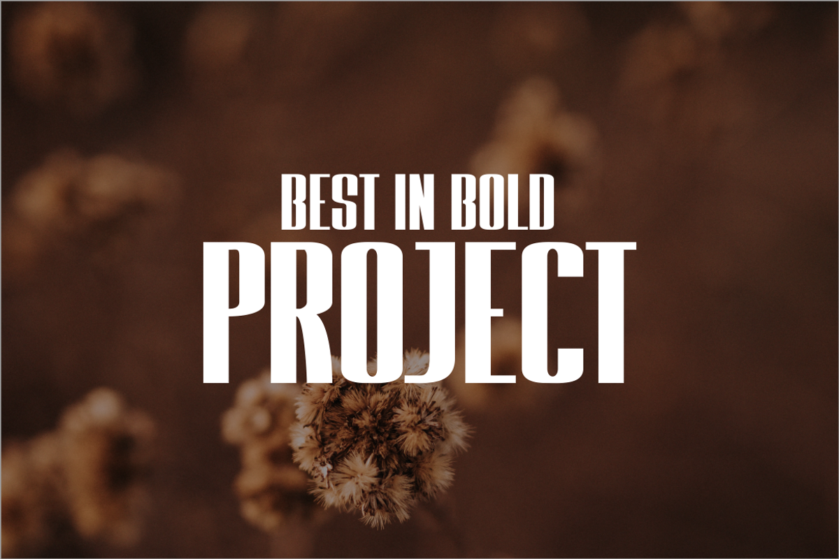 Thin In Bold Font, a Sans Serif Font by ponuppo (Photo 4 of 5)