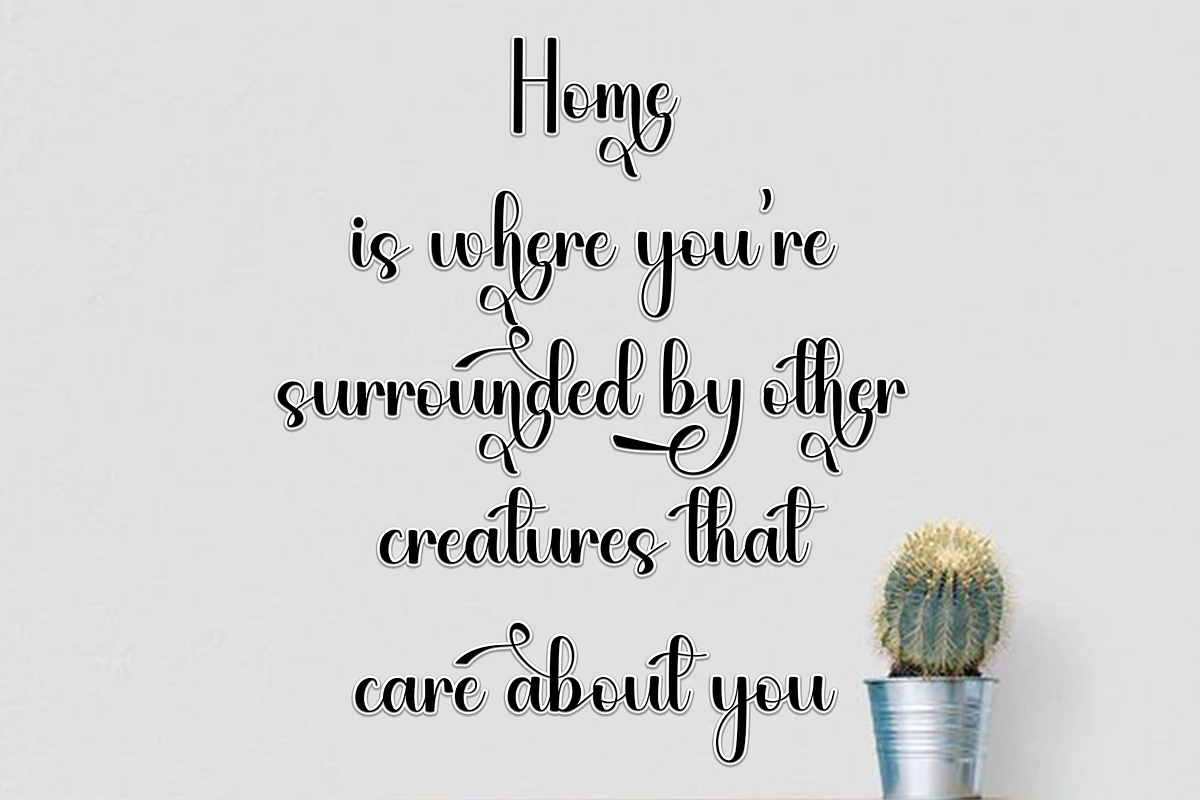 Beach Dandelion, a Handwritten Font by FreshTypeINK (Photo 5 of 8)