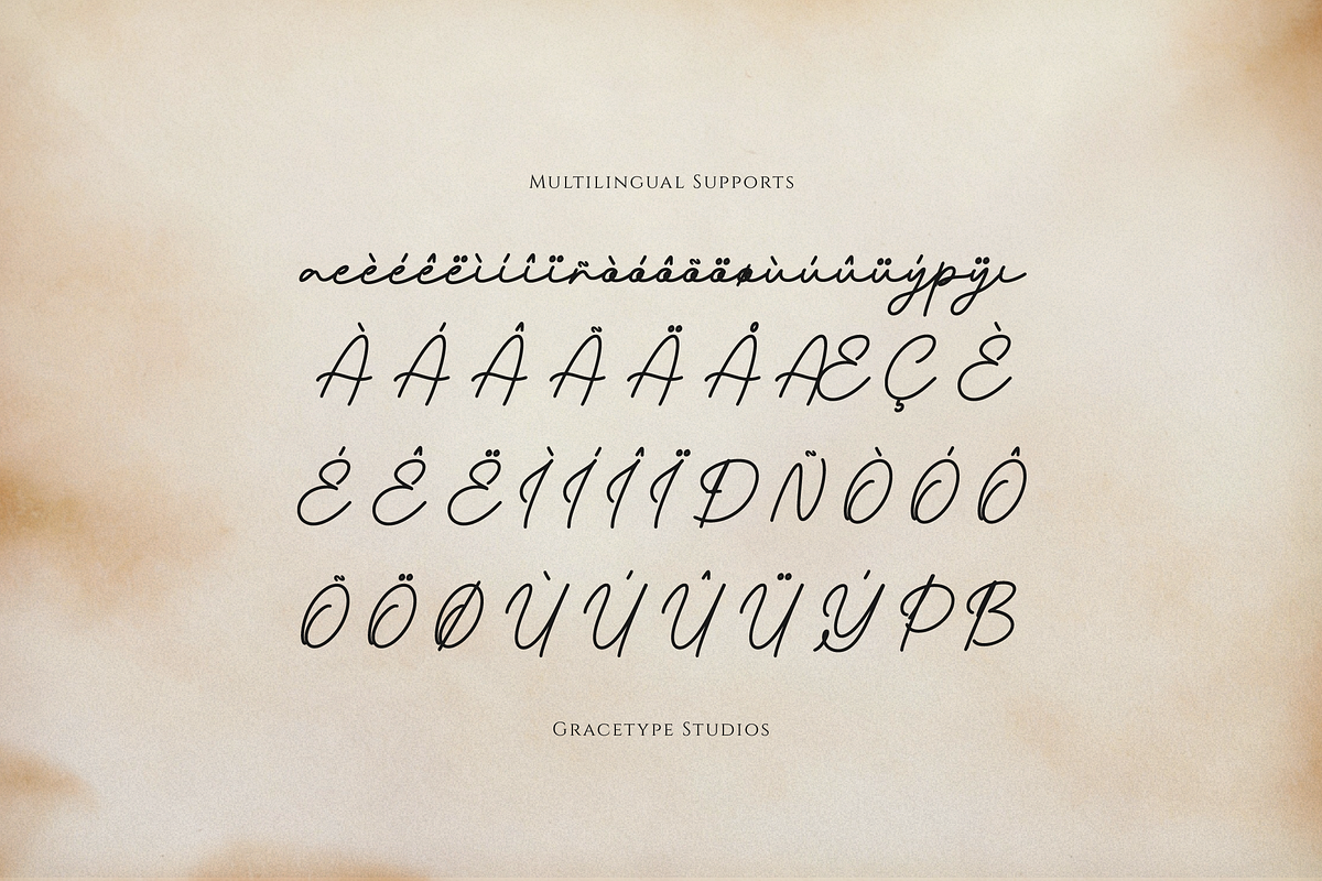 Pafilona | Monoline Script, a Script Font by gracetype_studio (Photo 11 of 12)
