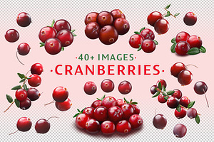 Cranberries—46 images, an Object Graphic by Hortimages