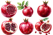 Pomegranate Watercolor Cliparts, an Illustration by Designworld (Thumbnail 4 of 7)