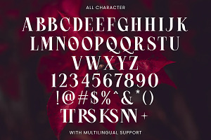 Crimson Queen - Modern Serif