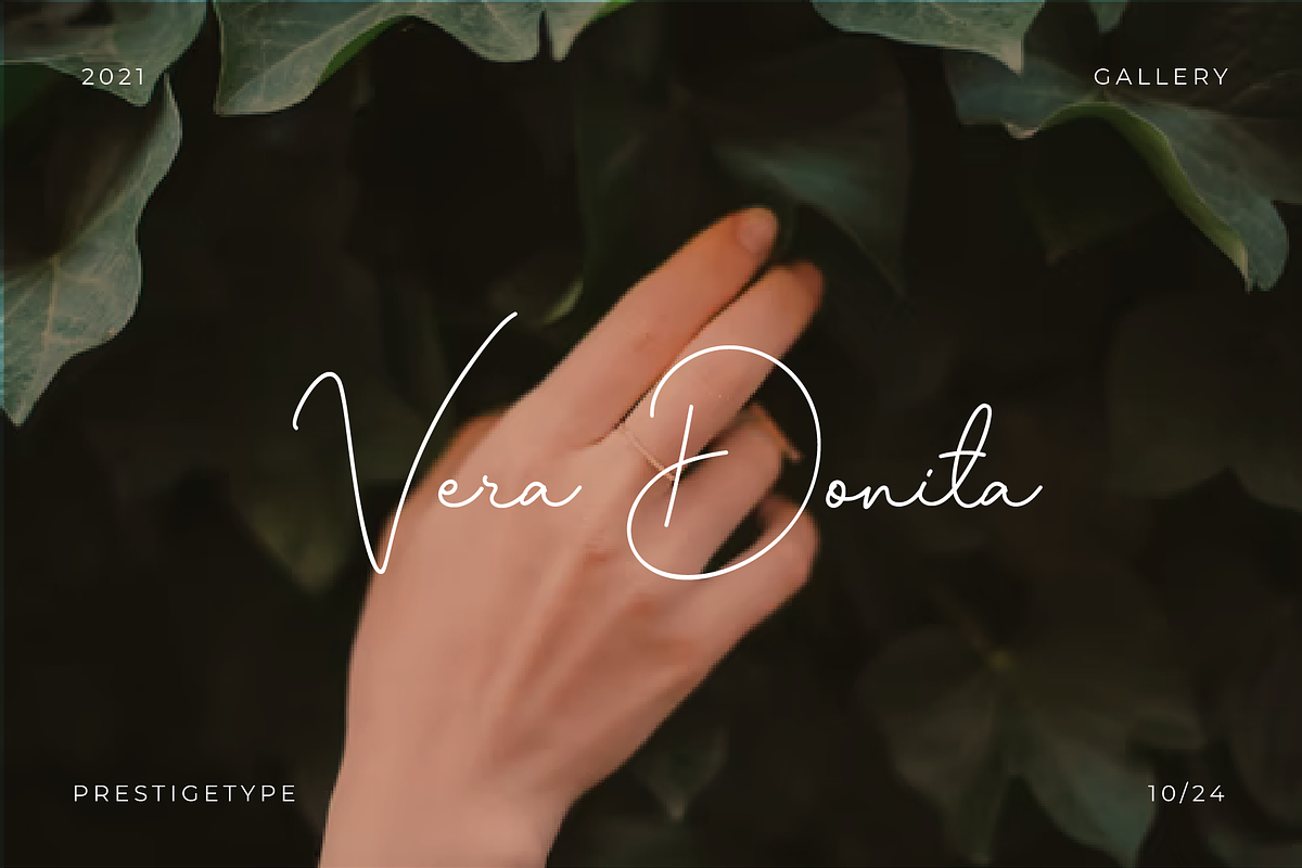 Raluxe Font Duo (Updated!), a Serif Font by Prestigetype (Photo 4 of 7)