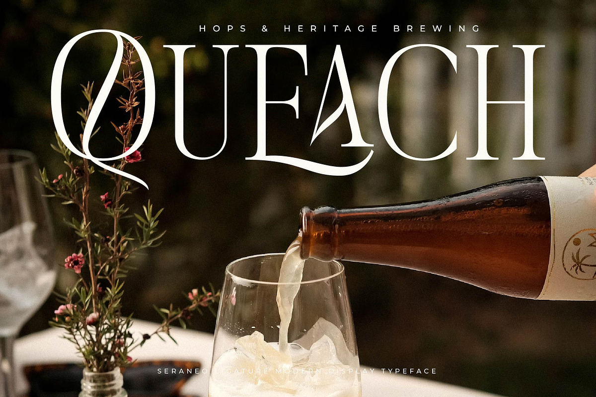 Seraneo Modern Display Typeface, a Serif Font by Letterena Studios (Photo 10 of 15)