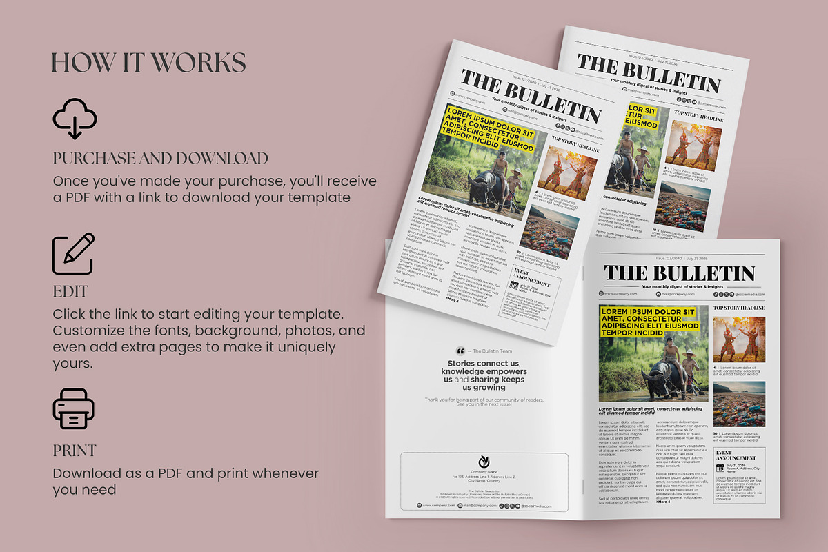 Modern Newsletter Template for Canva preview 6