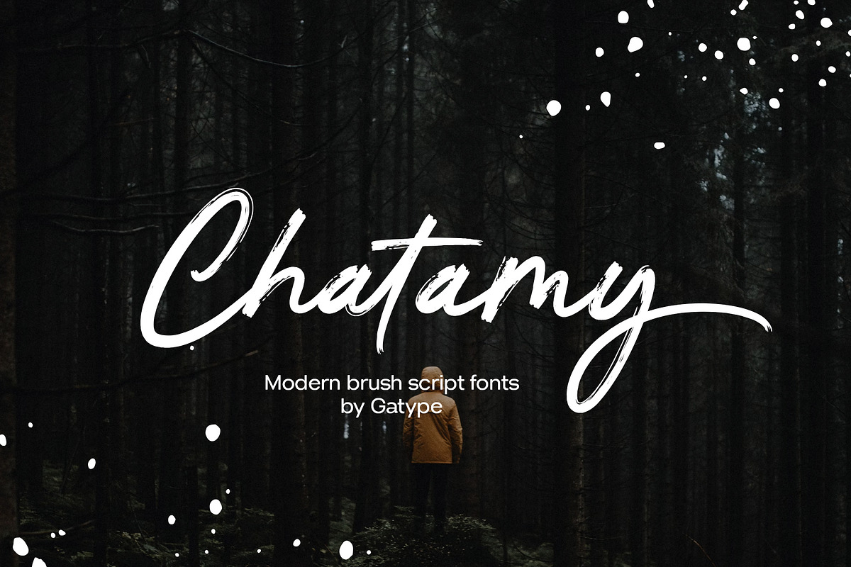 Chatamy, a Handwritten Font by Gatype (Photo 1 of 7)