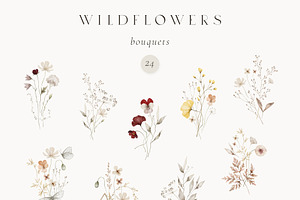 Wildflowers Watercolor Wild Botany