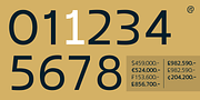 Coppint, a Sans Serif Font by Ridtype Foundry (Thumbnail 11 of 12)