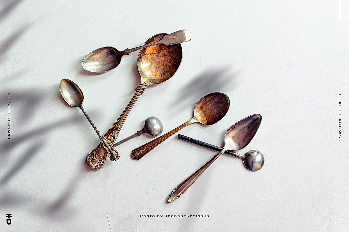 Leaf Shadows, a Templates & Theme by TANOSHII DESIGN (Photo 7 of 10)