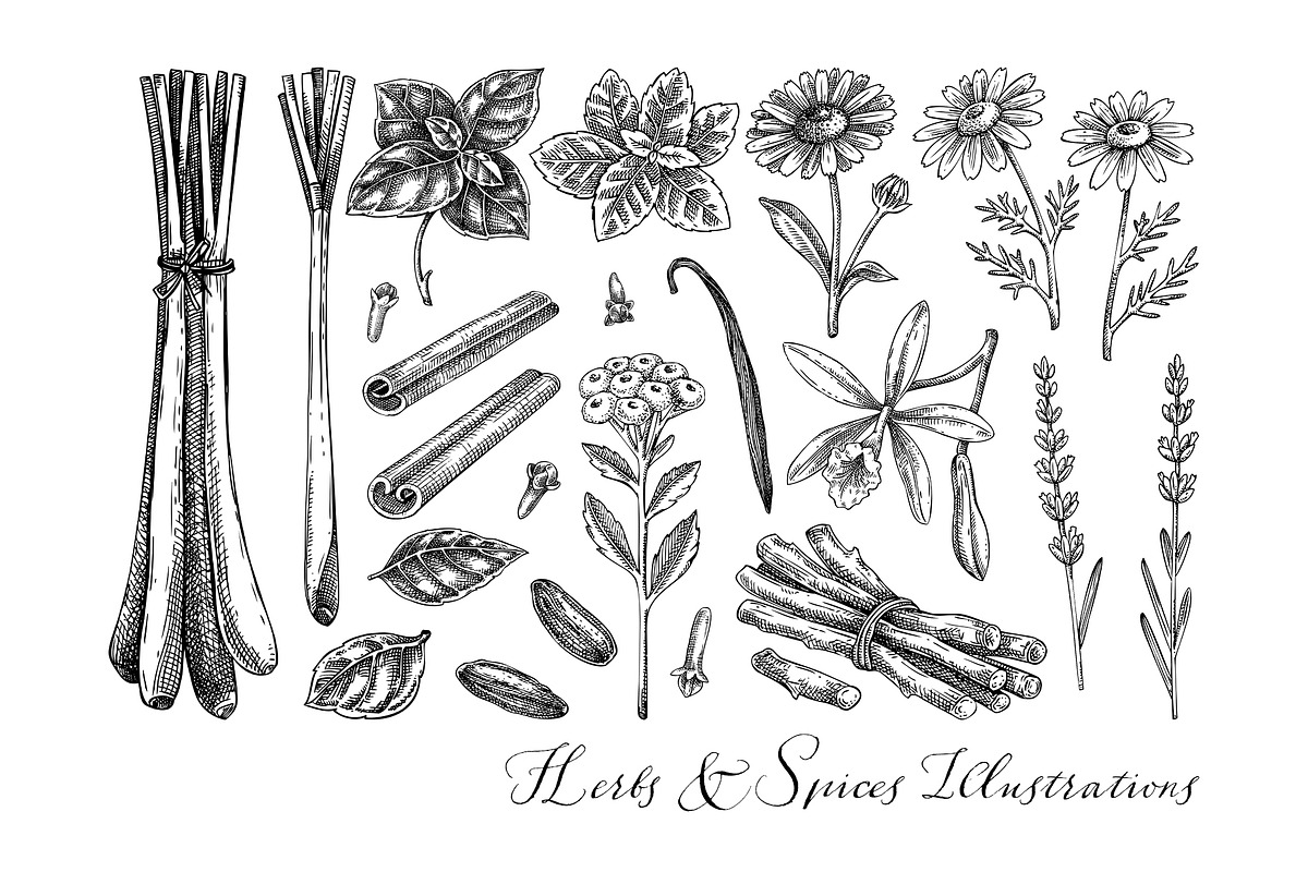 Botanical Beauty & Spa Branding Kit, a Healthcare Illustration by Yevheniia (Photo 4 of 12)