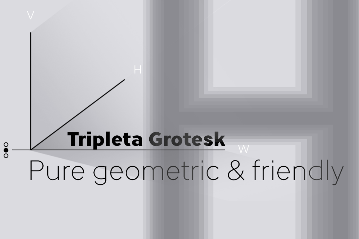 Tripleta Grotesk -8 fonts-, a Sans Serif Font by deFharo (Photo 8 of 9)