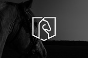 Minimalist Horse with Shield Logo, a Branding & Logo Template by Luxury Logos (Thumbnail 2 of 4)