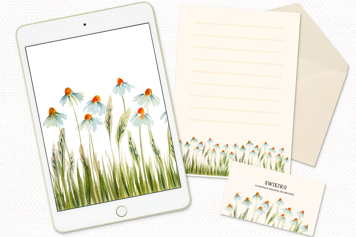 Watercolor Flowers - Chamomile, an Illustration by swiejko (Photo 5 of 6)