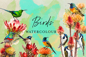Watercolor Birds