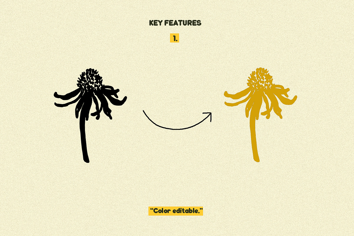 Botanical Vibes: 120 Floral Elements, an Object Illustration by Sheikhadesign (Photo 3 of 15)
