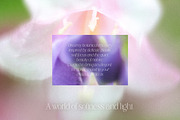 Dreamy Blurred Floral Backgrounds, a Background Graphic by dlinnaya (Thumbnail 4 of 9)