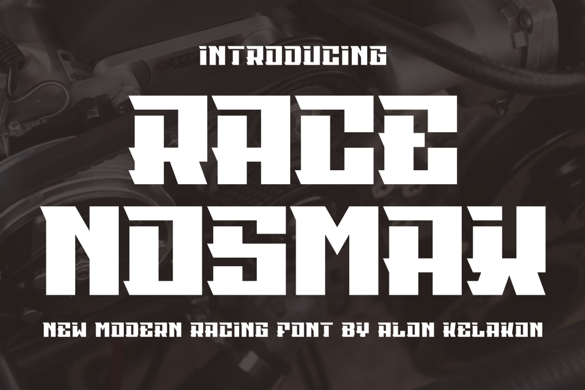 Race Nosmax, a Serif Font by alon kelakon (Photo 1 of 5)