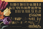 Rosejacn Modern Display Serif, a Serif Font by timelesstype.co (Thumbnail 18 of 20)