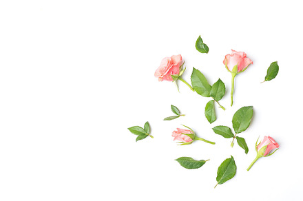 Roses stock photo containing rose and orange, an Arts & Entertainment Photo by SunnyDay