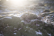 LIGHTROOM PRESETS ICELAND! travel, an Action Add-On by Graphics, Presets, Photos (Thumbnail 30 of 58)