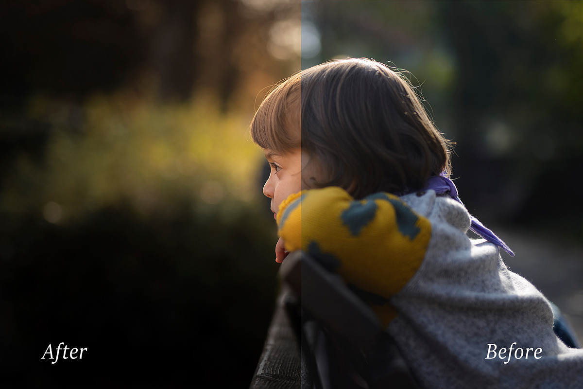 Autumn Adobe Lightroom Presets, an Action Add-On by Goat presets (Photo 3 of 4)